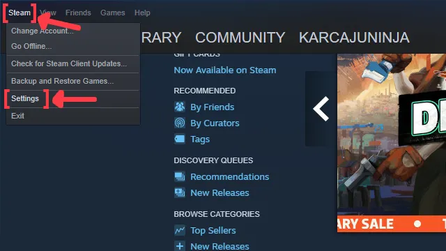 Руководство по настройкам Steam