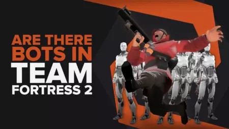 Есть ли боты в Team Fortress 2?  Комплексный отчет