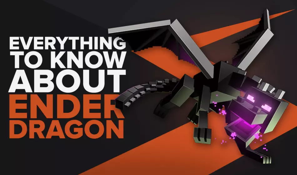 Все, что вам нужно знать о Ender Dragon в Minecraft