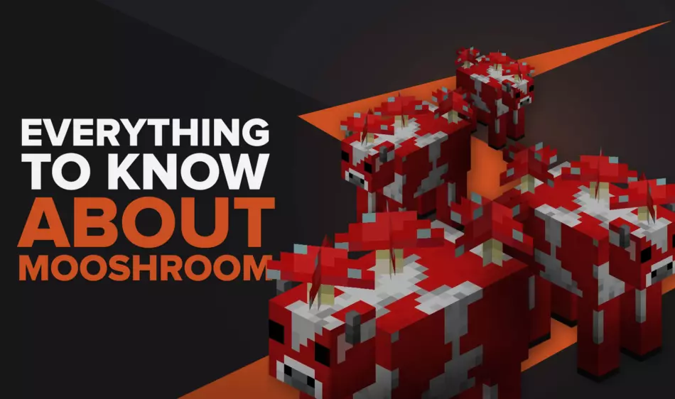 Все, что вам нужно знать о Mooshroom