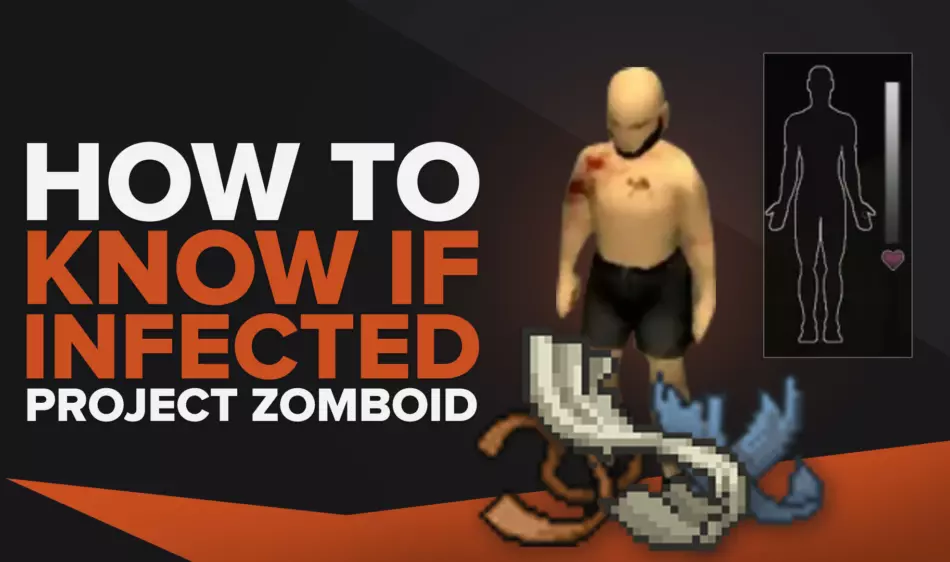 Как узнать, заражены ли вы в Project Zomboid?