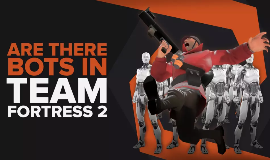 Есть ли боты в Team Fortress 2?  Комплексный отчет